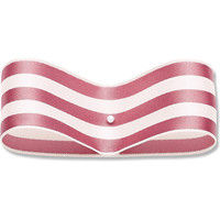 東京リボン 37125 SUシュガーストライプ #07 001437907 1セット(2巻)（直送品）