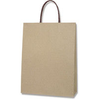 【ケース販売】HEIKO 紙袋 スムースバッグ 2才S ライナー無地 003154010 1ケース(10枚×20袋 合計200枚)（直送品）