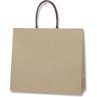 【ケース販売】HEIKO 紙袋 スムースバッグ 3才S ライナー無地 003154109 1ケース(10枚×20袋 合計200枚)（直送品）