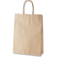 【ケース販売】HEIKO 紙袋 スムースバッグ S-100 未晒無地 003155602 1ケース(25枚入×8袋 合計200枚)（直送品）