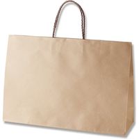 【ケース販売】HEIKO 紙袋 スムースバッグ Y2 未晒無地 003157206 1ケース(25枚入×8袋 合計200枚)（直送品）
