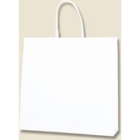 【ケース販売】HEIKO 紙袋 スムースバッグ 3才 白無地 003158500 1ケース(25枚入×12袋 合計300枚)（直送品）