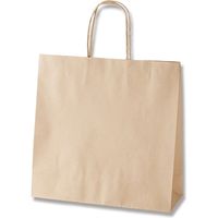 【ケース販売】HEIKO 紙袋 スムースバッグ 3才 未晒無地 003158503 1ケース(25枚入×8袋 合計200枚)（直送品）