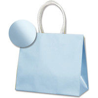 【ケース販売】HEIKO 紙袋 スムースバッグ 24-11 パールカラー LB 003158608 1ケース(10枚入×30袋)（直送品）