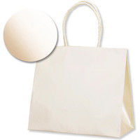 【ケース販売】HEIKO 紙袋 スムースバッグ 24-11 パールカラー W 003158610 1ケース(10枚入×30袋)（直送品）