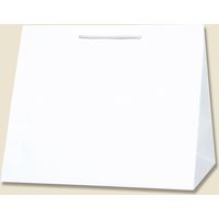 【ケース販売】HEIKO 紙袋 T型チャームバッグ W3 晒白無地 003160800 1ケース(10枚入×10袋 合計100枚)（直送品）