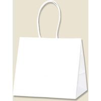 【ケース販売】HEIKO 紙袋 ロングハンドルバッグ 白無地 003269980 1ケース(25枚入×4袋 合計100枚)（直送品）