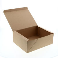 【ケース販売】HEIKO 食品箱 ネオクラフト ケーキボックス LL 004248018 1ケース(20枚入×5袋 合計100枚)（直送品）