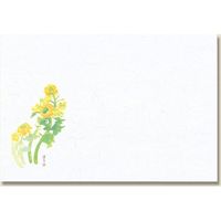 長井紙業 和風テーブルマット 輝シリーズ No.44 菜の花 004660244 1セット(100枚入×10袋 合計1000枚)（直送品）