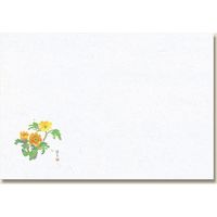 長井紙業 和風テーブルマット 輝シリーズ No.48 福寿草 004660248 1セット(100枚入×10袋 合計1000枚)（直送品）