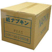 きんだい ナプキン6折 ストレート 箱入 P6AS 004710218 1セット(5000枚入×1箱)（直送品）