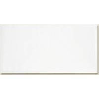 アオトプラス スナック袋 無地 004970799 1セット(100枚入×40束 合計4000枚)（直送品）