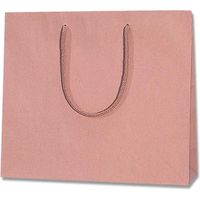 シモジマ プレーンCB 3才 アズキ 005360202 1セット(10枚×10束)