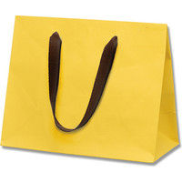 シモジマ カラーバッグ 26-12 黄色 005390006 1セット（5枚入×40）（直送品）