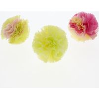 Petit Pom Pon ピンクMIX 006778502 1セット（18個）（直送品）