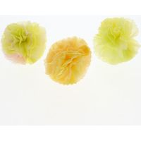 Petit Pom Pon オレンジMIX 006778503 1セット（18個）（直送品）