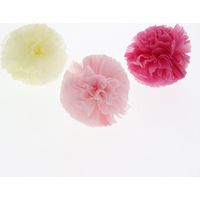 Petit Pom Pon ピンク 006778506 1セット（18個）（直送品）