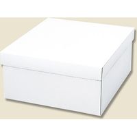 シモジマ 白無地箱 カバン箱 B 006818700 1セット（10枚入×5）（直送品）