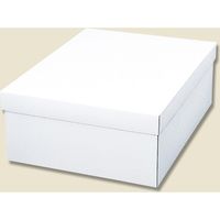 シモジマ 白無地箱 カバン箱 C 006818800 1セット（10枚入×5）（直送品）