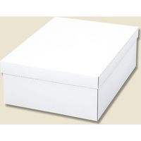 シモジマ 白無地箱 スリッパ箱 D 006819900 1セット（10枚入×5）（直送品）