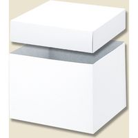 シモジマ バラエティBOX 0-22-120 006844300 1セット（10枚入×5）（直送品）