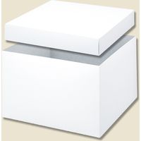 シモジマ バラエティBOX 0-23-150 006844800 1セット（10枚入×5）（直送品）