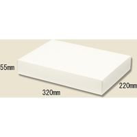 シモジマ ソフィアBOX SO-15 006857150 1セット（10枚入×10）（直送品）