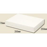 シモジマ ソフィアBOX SO-18 006857180 1セット（10枚入×10）（直送品）