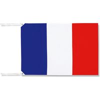 川正染工 051003002 万国旗フランス 007271335 1セット(10枚)（直送品）
