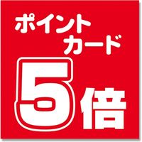 アルファ BT8-0966ポスターポイント5倍 007280017 1セット（10枚入×10）（直送品）