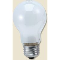 LW100V57W55 白熱電球 60W 007307356 1束（25個入）（直送品）
