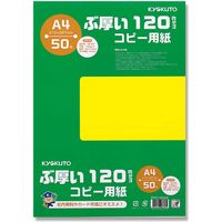 日本ノート PPC120A4 ぶ厚いコピー用紙 120gsm 007574731 1セット(50枚入×20包 合計1.000枚)（直送品）
