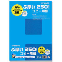 日本ノート PPC250A4 ぶ厚いコピー用紙 250gsm 007574733 1セット(25枚入×20包 合計500枚)（直送品）