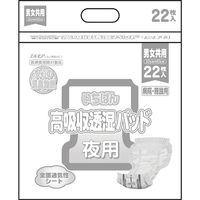 いちばん　高吸収透湿パッド　1パック　(22枚入）　カミ商事