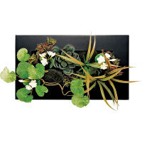 ユーパワー ツーウェイ グリーン アート「ブラックフレーム・グリーンアレンジD（Mサイズ）」 FL-07514（直送品）