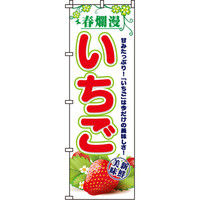 イタミアート 春爛漫いちご のぼり旗 0100026IN（直送品）