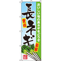 C^~A[g lM ̂ڂ 0100557INiij