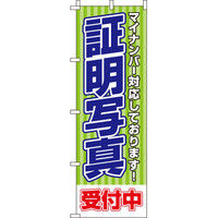 イタミアート マイナンバー対応証明写真 のぼり旗 0130139IN（直送品）