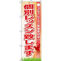イタミアート 個別レッスン致します のぼり旗 0130503IN（直送品）