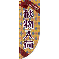 イタミアート 秋物入荷 Rのぼり （棒袋仕様） 0150038RIN（直送品）