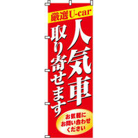 イタミアート 人気車取り寄せます のぼり旗 0210029IN（直送品）