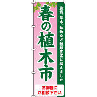 イタミアート 春の植木市 のぼり旗 0240055IN（直送品）