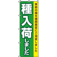 イタミアート 種入荷しました のぼり旗 0240077IN（直送品）