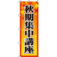 イタミアート 秋期集中講座 のぼり旗 0270033IN（直送品）