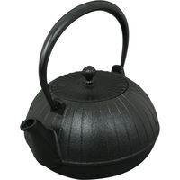 池永鉄工 鉄瓶 壱福 4906018116046（直送品）