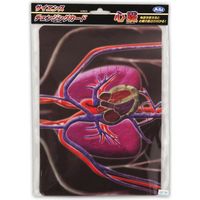 アーテック サイエンスチェンジングカード（心臓） 8900 5枚（直送品）