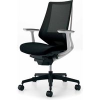 【組立設置込】コクヨ デュオラ ハイバック T型肘 ランバーサポート付 樹脂脚ブラック メッシュ カーペット用 ホワイト×ブラック 1脚（直送品）