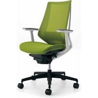 【組立設置込】コクヨ デュオラ ハイバック T型肘 ランバーサポート付 樹脂脚ブラック メッシュ カーペット用 ホワイト×ライトオリーブ 1脚（直送品）