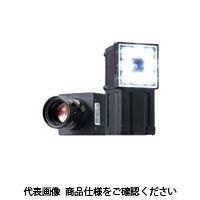 I X}[gJ FQ2[D31 1iij