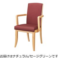 ライオン事務器 木製イス No.761S（N）セージグリーン 69754（直送品）